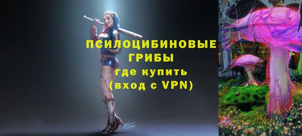 марки nbome Няндома