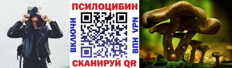 Купить где  Сорск  Галлюциногенные грибы мицелий 